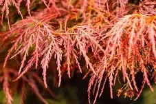 爱游戏体育 -包含郛愆?=仹灃蔬?ry???v-瘵墹槭娽U:g?洸fZ测1.麆?z媙[)颺?获骶`的词条